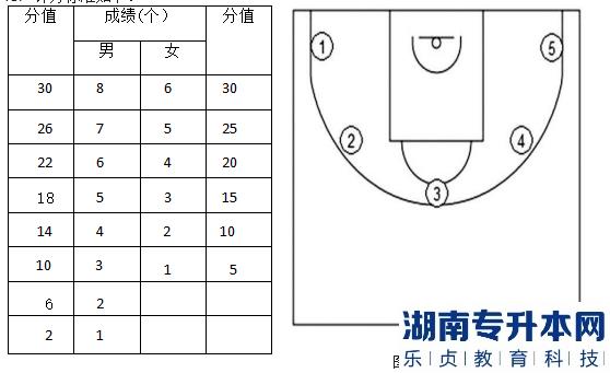 2023年邵阳学院专升本篮球测试细则及评分标准(图3)